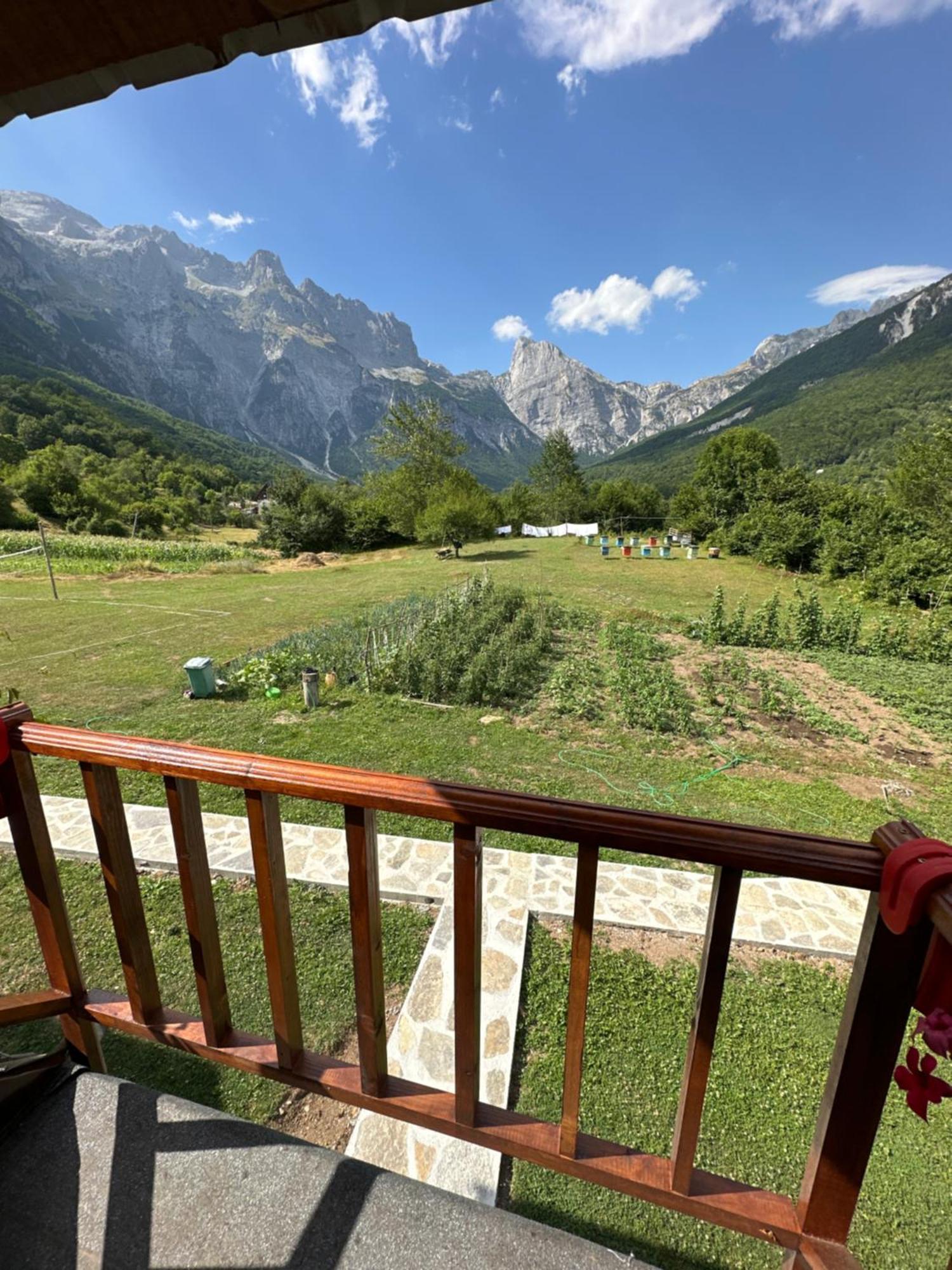 Pensjonat Royal Land